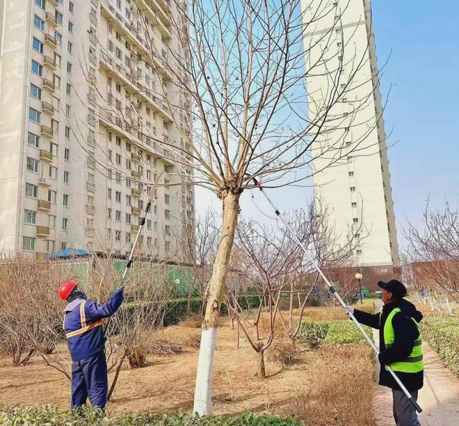 开云体育 开云平台优化营商环境丨海港区园林绿化中心：贡献绿色力量 优化营商环境(图2)