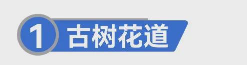 竹开云APP 开云官网入口洞焕新颜美景入眼帘 — 美丽乡村景观提升实践经验(图4)