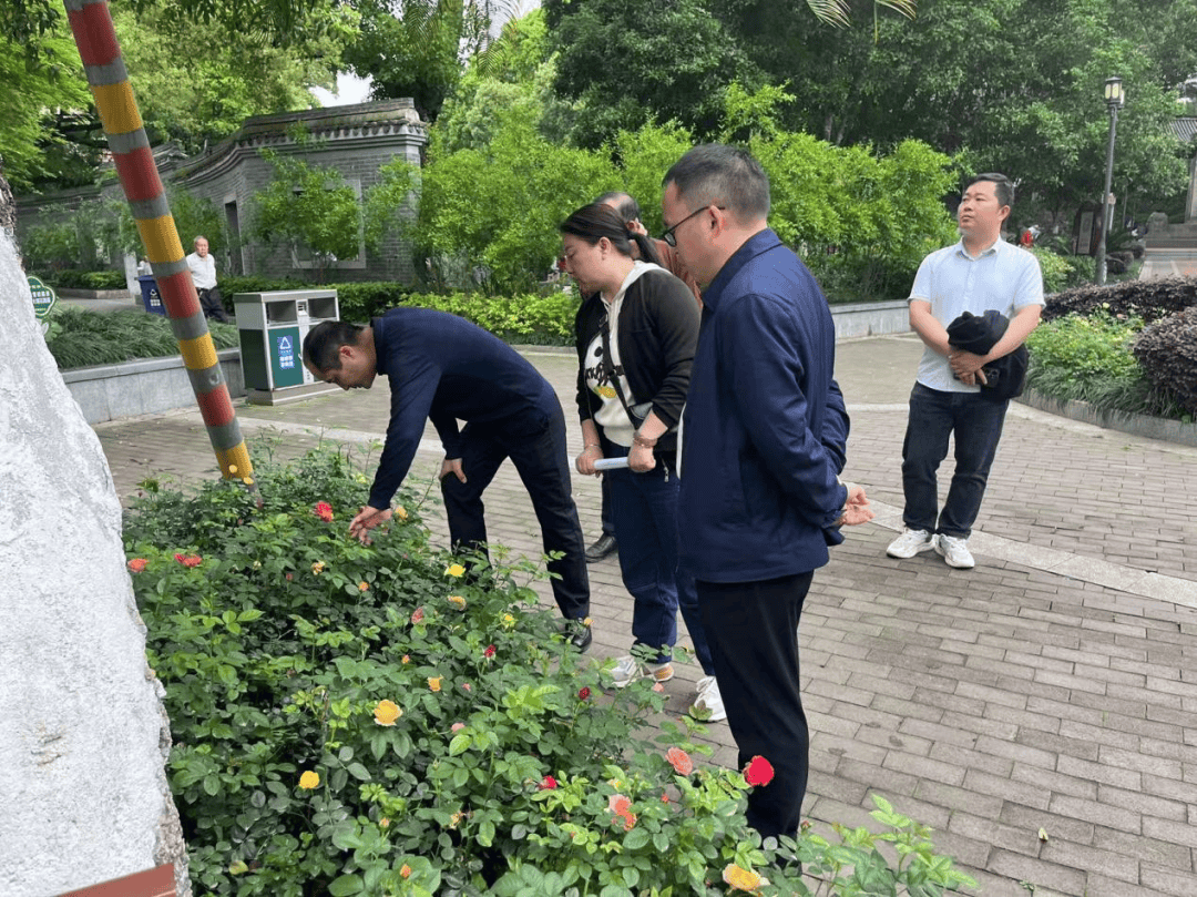 开云 开云体育官网章贡区城管局召开园林养护工作流动现场会议(图2)