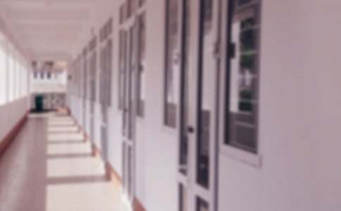 学校开云 开云体育平台绿化工作计划(图1)