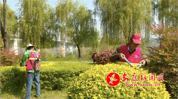 开云APP 开云官网入口不负春日好时光 园林绿化养护忙 - 安康新闻网(图4)