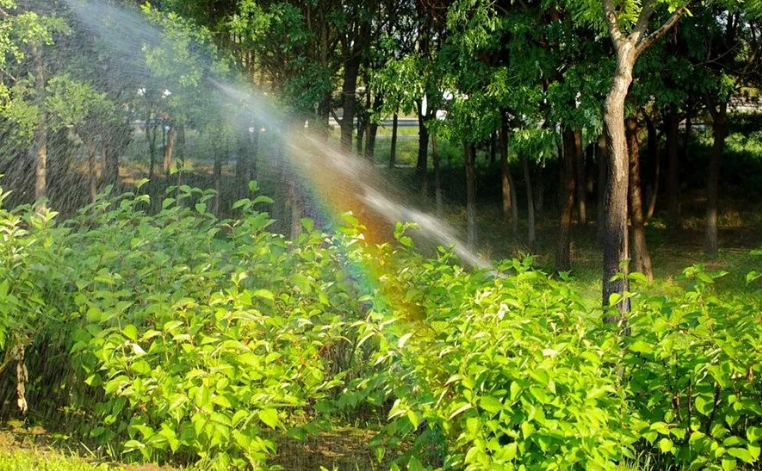 花木产业网如何选择Kaiyun 开云园林绿化的苗木品种？(图1)