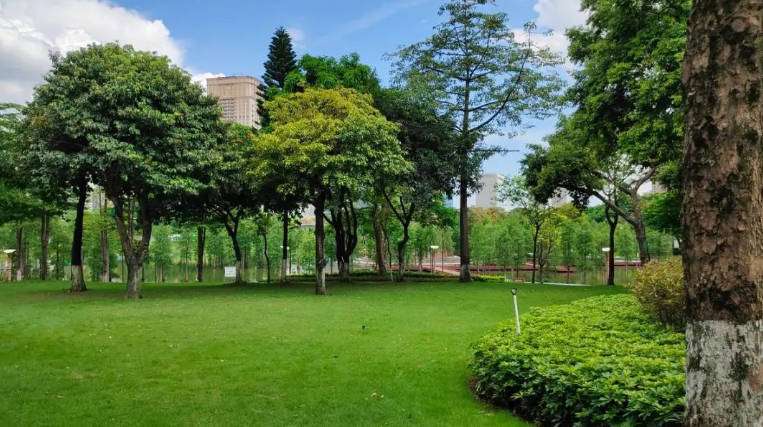 花木产业网如何选择Kaiyun 开云园林绿化的苗木品种？(图2)