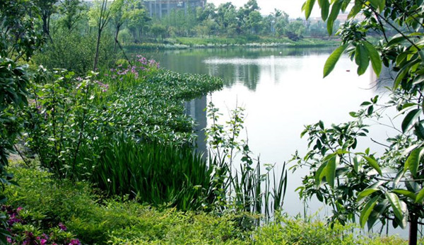 公园园林绿化养护7大管理对策开云体育 开云平台(图2)