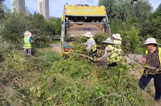 临沂市城管局园林环卫保障服务中心开展全市绿化垃圾处置工作调研检查开云体育 开云官网(图2)