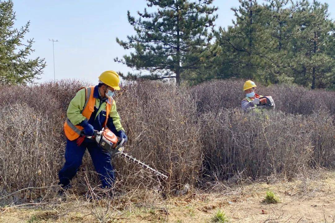 开云体育 开云官网不负春季好时光 园林绿化养护忙(图1)