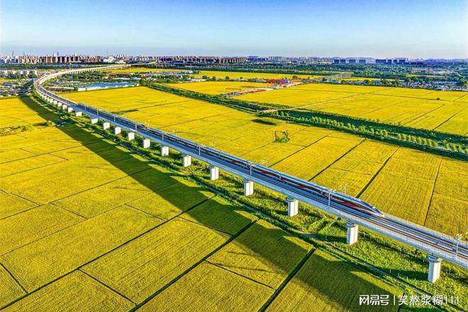 山东省新中标一道路绿开云 开云体育平台化施工项目(图1)