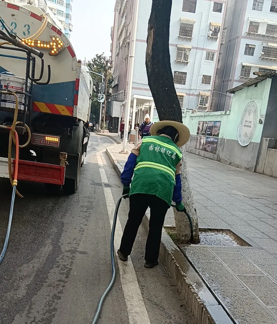 守护城市绿意 提升城市“开云体育 Kaiyun.com 官网入口颜值”(图6) 守护城市绿意 提升城市“开云体育 Kaiyun.com 官网入口颜值”(图6)