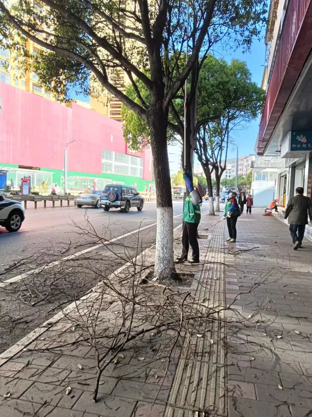 守护城市绿意 提升城市“开云体育 Kaiyun.com 官网入口颜值”(图7) 守护城市绿意 提升城市“开云体育 Kaiyun.com 官网入口颜值”(图7)