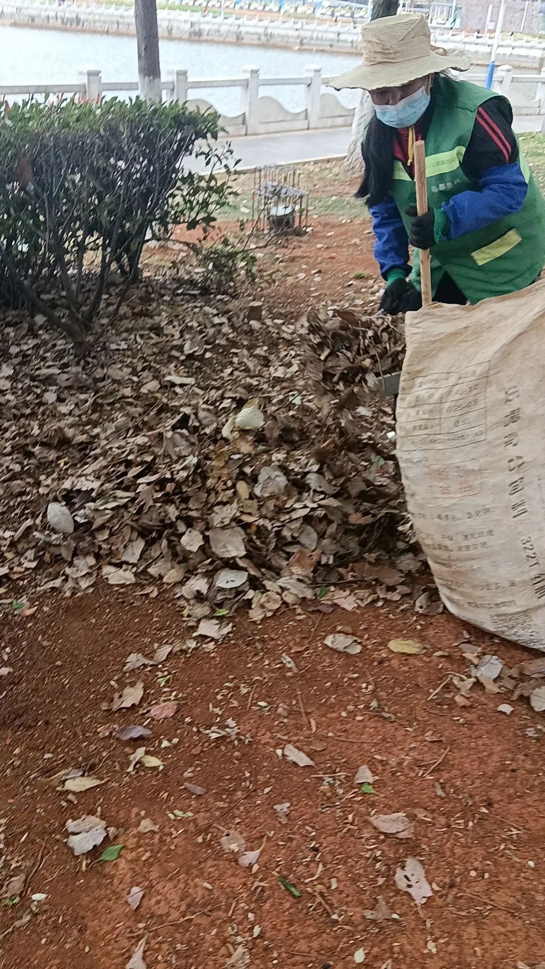 守护城市绿意 提升城市“开云体育 Kaiyun.com 官网入口颜值”(图9) 守护城市绿意 提升城市“开云体育 Kaiyun.com 官网入口颜值”(图9)