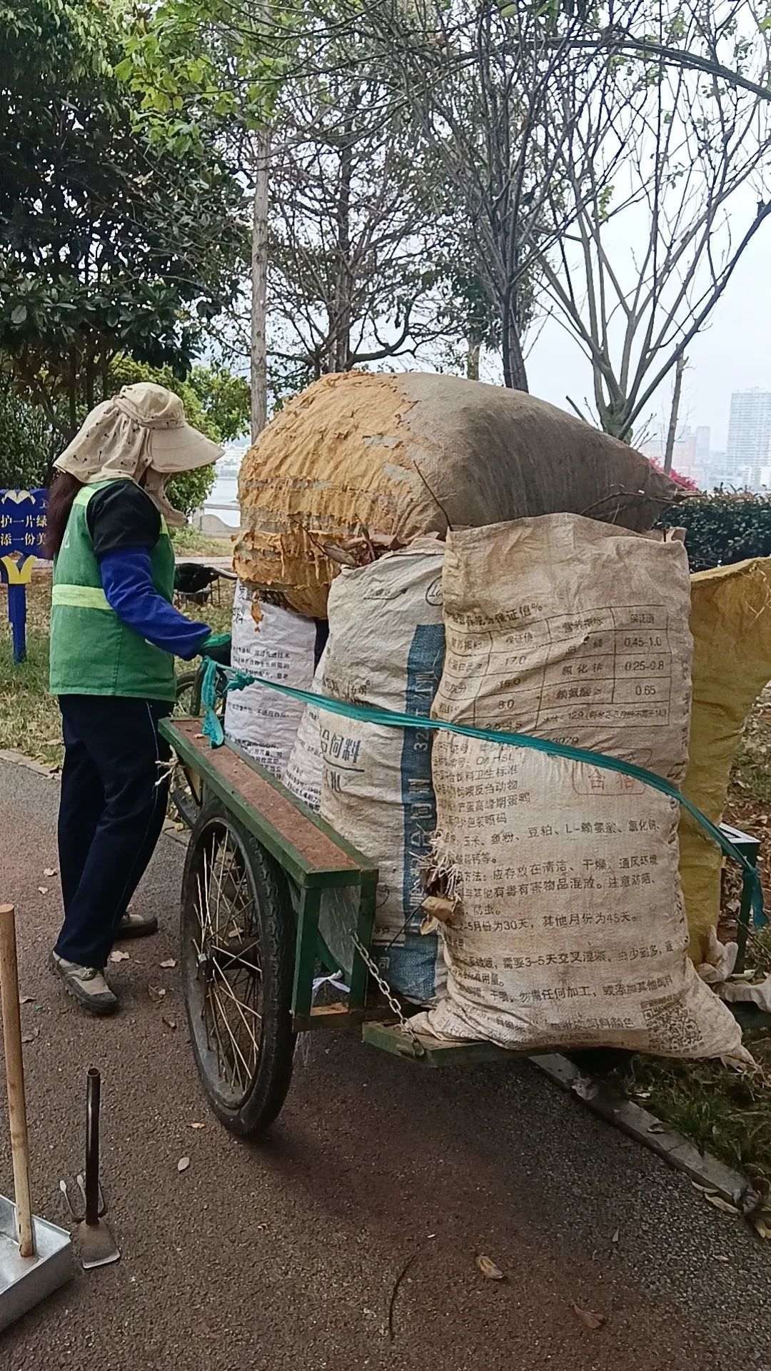 守护城市绿意 提升城市“开云体育 Kaiyun.com 官网入口颜值”(图10) 守护城市绿意 提升城市“开云体育 Kaiyun.com 官网入口颜值”(图10)