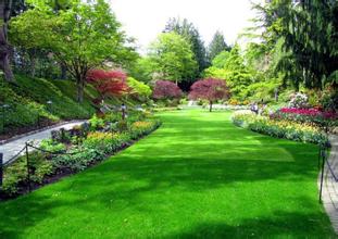 开云体育 开云平台园林绿化养护的发展前景如何?好养护带您看(图1) 开云体育 开云平台园林绿化养护的发展前景如何?好养护带您看(图1)