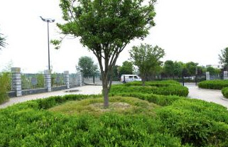 开云体育 开云平台园林绿化养护的发展前景如何?好养护带您看(图2) 开云体育 开云平台园林绿化养护的发展前景如何?好养护带您看(图2)