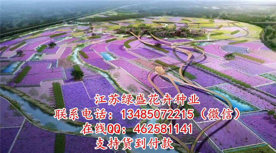 鼓楼区庭院开云APP 开云官网入口绿化规划设计详情(图2)