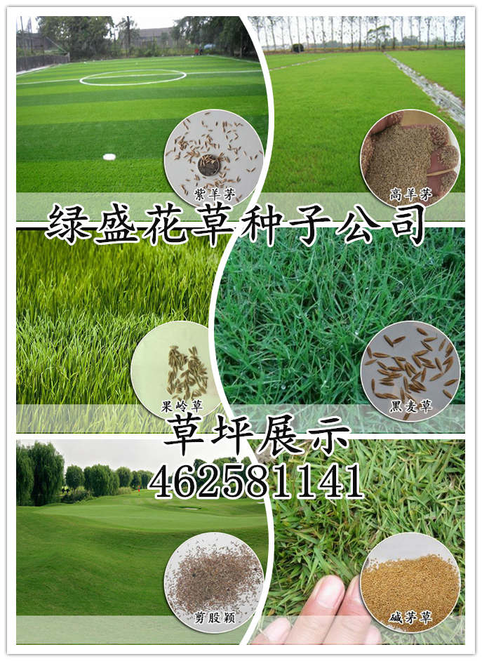 鼓楼区庭院开云APP 开云官网入口绿化规划设计详情(图3)