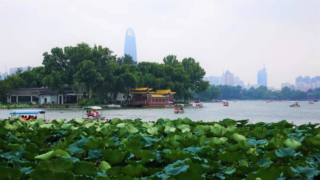 济南公布首批星级公园看看你家附近有吗开云体育 开云官网(图1) 济南公布首批星级公园看看你家附近有吗开云体育 开云官网(图1)