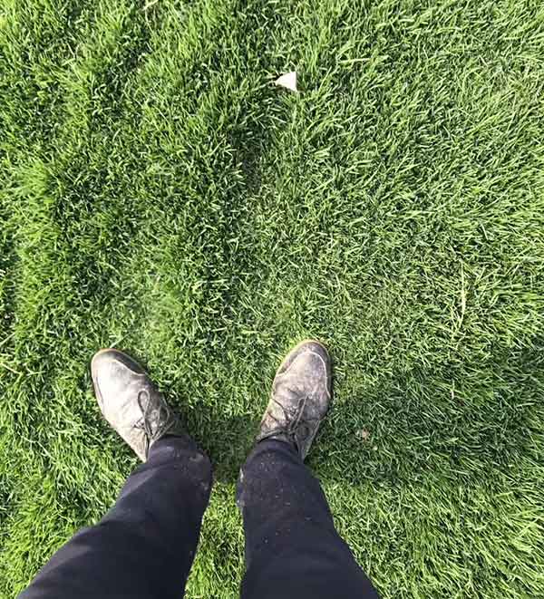 绿化草开云体育 开云官网坪成本多少钱一平(图1)