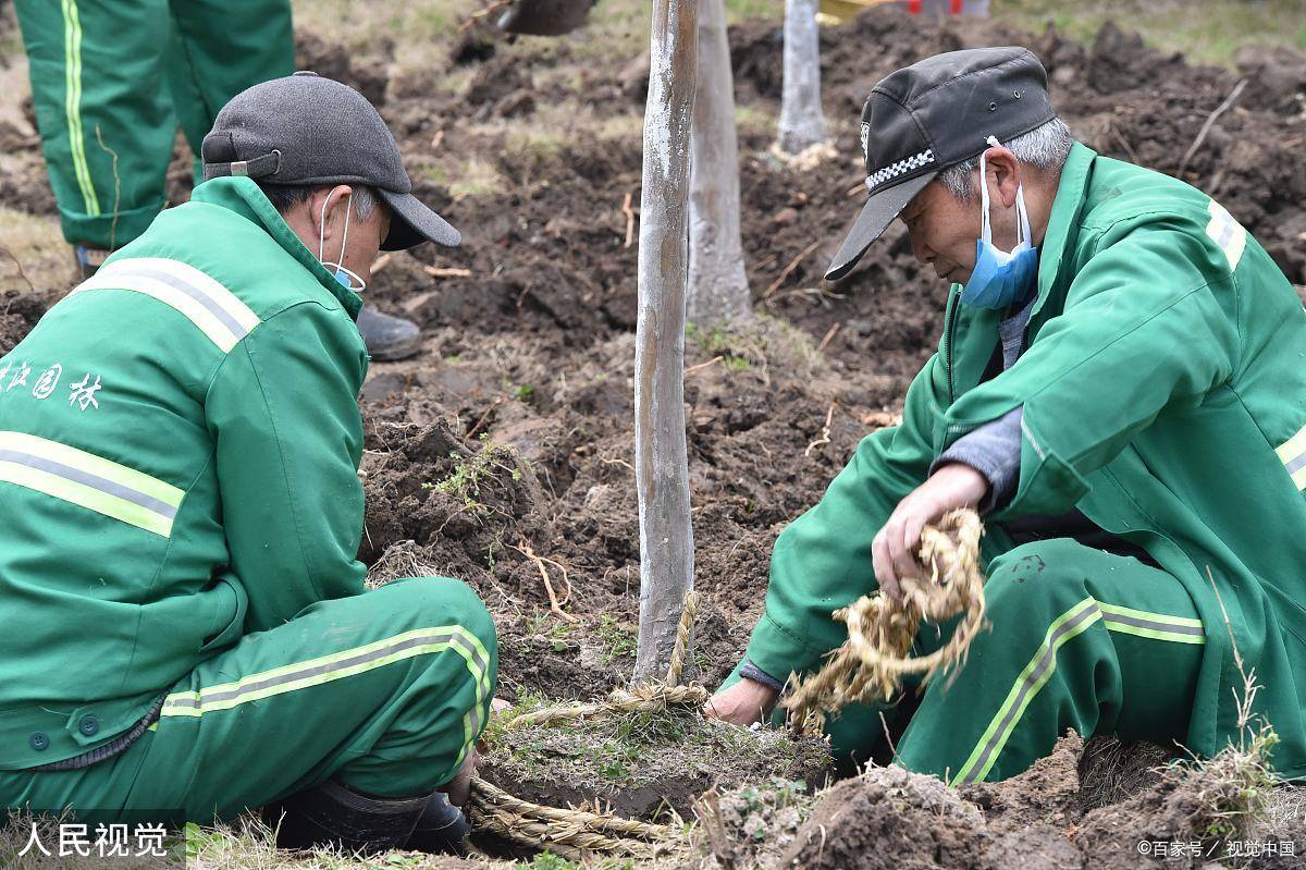 开云 开云体育平台如何报考园林绿化工程师？考证时间、条件、流程、就业方向详解！(图1)