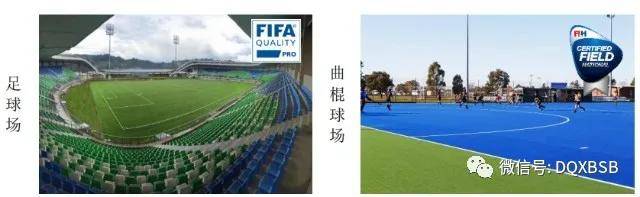 开云体育 开云官网605099共创草坪市值估值分析+高度50元(图2)