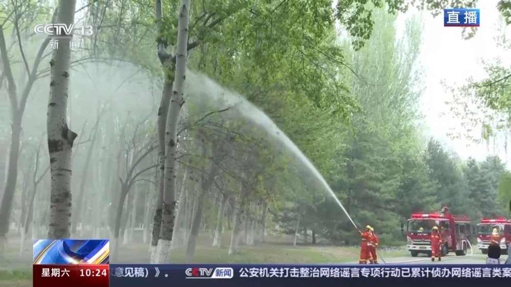 北方多地进入杨柳飞絮高发期 如何科学治理？开云 开云体育平台(图3)