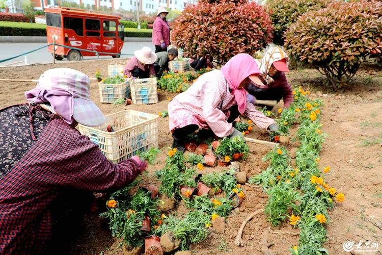 开云 开云体育官网临沭县加强园林绿化养护提升城市精细化管理工作水平(图1) 开云 开云体育官网临沭县加强园林绿化养护提升城市精细化管理工作水平(图1)