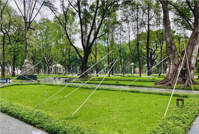 开云体育 开云平台绿化工程不能随便乱砍大树了(图3) 开云体育 开云平台绿化工程不能随便乱砍大树了(图3)