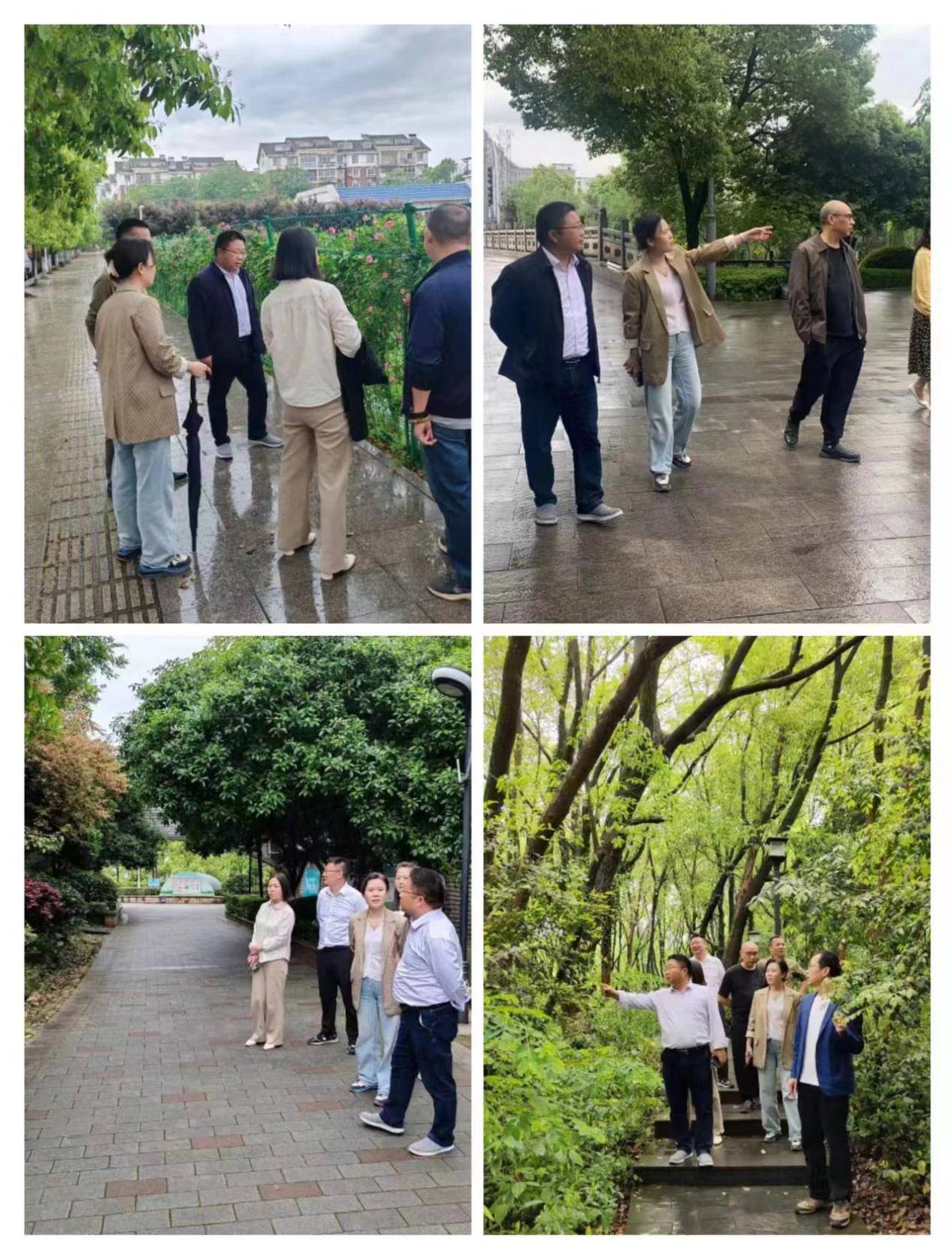 萍乡市城管局成功举办2024年园林专业培训讲座Kaiyun 开云(图2)