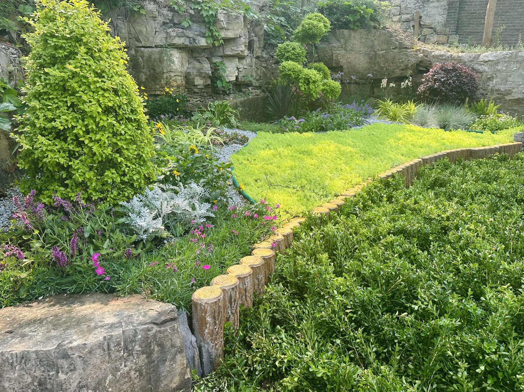 Kaiyun 开云“济南园林花市”精彩亮相山东省森林文化周_泉城新闻_大众网(图1)