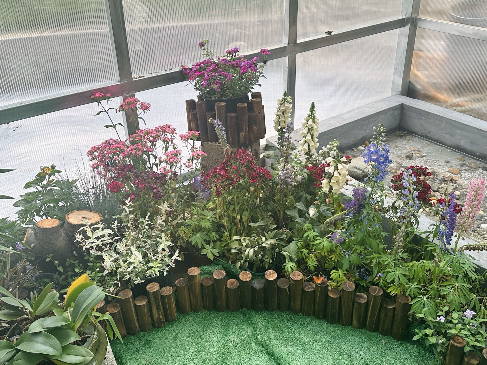 Kaiyun 开云“济南园林花市”精彩亮相山东省森林文化周_泉城新闻_大众网(图2)