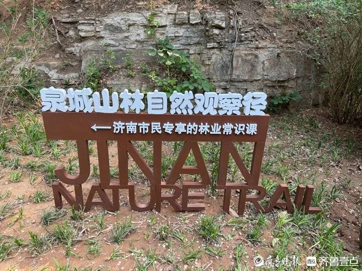 Kaiyun 开云第三届山东省森林文化周济南主会场举办“媒体开放日”活动(图3)