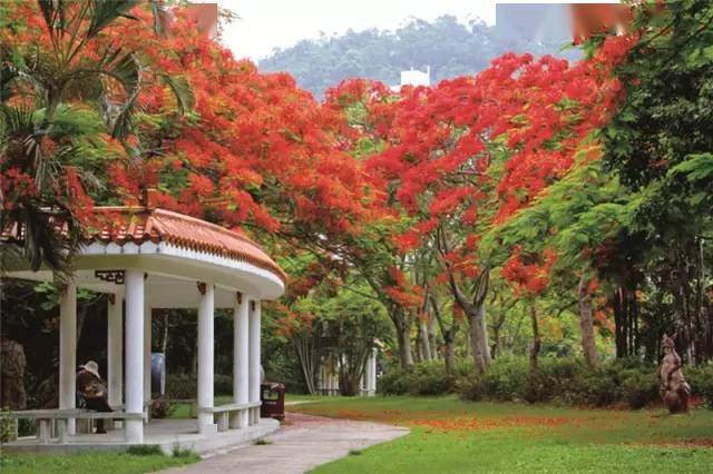 开云体育 Kaiyun.com 官网入口干货丨史上最全的植物景观设计总则(图16)