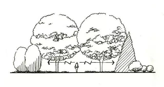 开云体育 Kaiyun.com 官网入口干货丨史上最全的植物景观设计总则(图12)