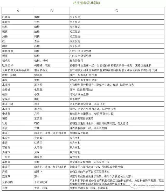 开云体育 Kaiyun.com 官网入口干货丨史上最全的植物景观设计总则(图30)