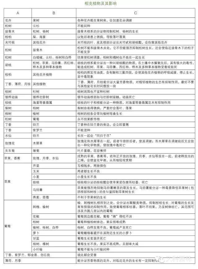开云体育 Kaiyun.com 官网入口干货丨史上最全的植物景观设计总则(图31)