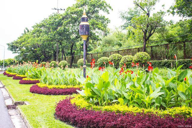 开云体育 Kaiyun.com 官网入口园林工程师怎么考？含金量高吗？需要什么条件？(图2)