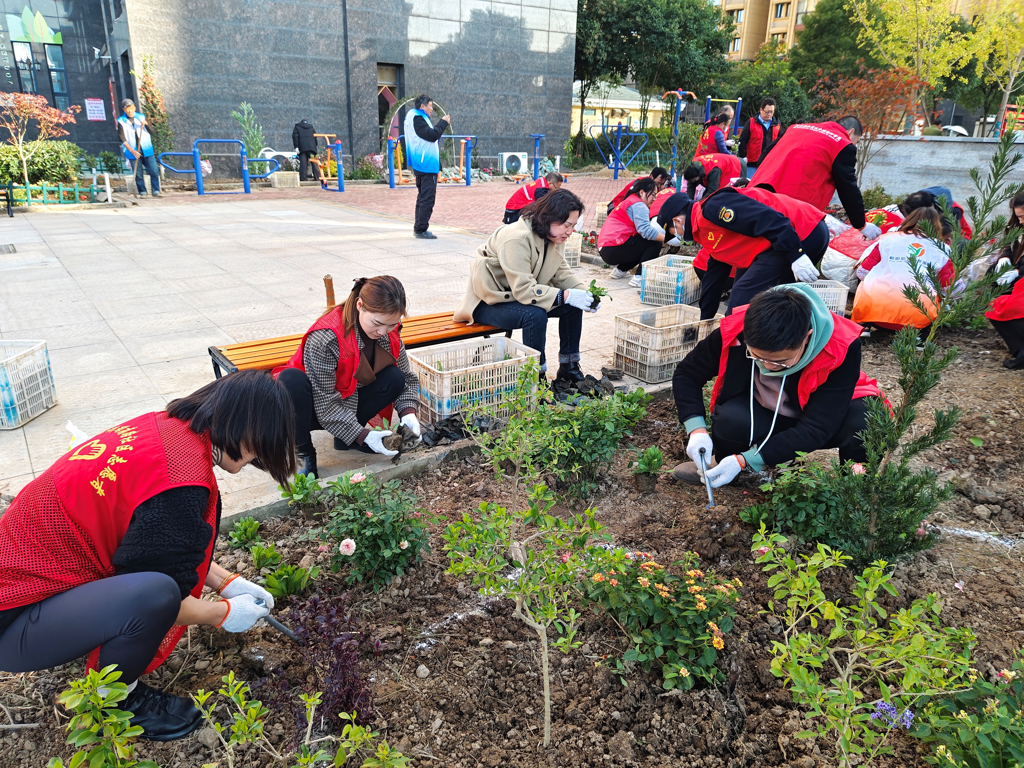 “难题求解 基层智慧”之开云体育 开云官网社区人居环境整治(图2)