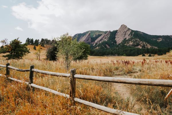 园林绿化意义(城市园林绿化意义是什么)开云体育 开云平台(图1) 园林绿化意义(城市园林绿化意义是什么)开云体育 开云平台(图1)