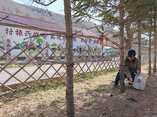 河北崇礼：树木养护Kaiyun 开云体育正当时 不负春季好时光(图2)
