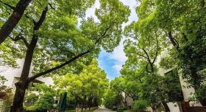 开云 开云体育平台【官方发布】大宁揽翠艺墅售楼处@上海大宁揽翠艺墅楼盘详情 地址(图9)