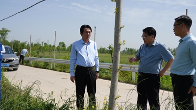 开云 开云体育官网息县人民政府县长郑春调研指导国土绿化工作(图1)
