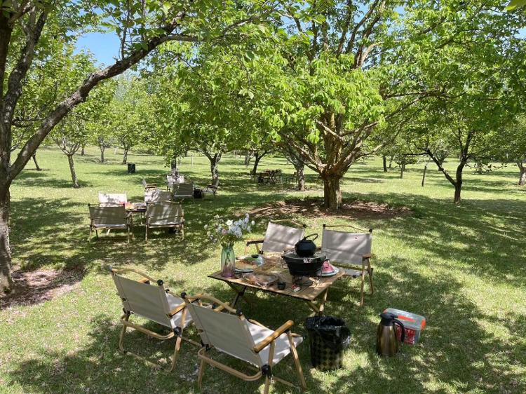 开云APP 开云官网入口济南市2024年自然教育基础年启动仪式在济南植物园举行_泉城新闻_大众网(图1)