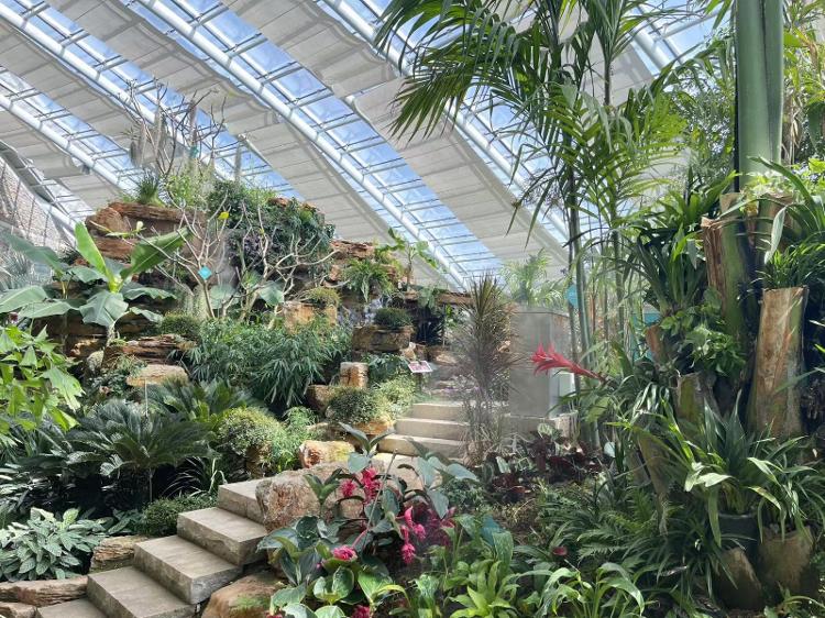 开云APP 开云官网入口济南市2024年自然教育基础年启动仪式在济南植物园举行_泉城新闻_大众网(图4)