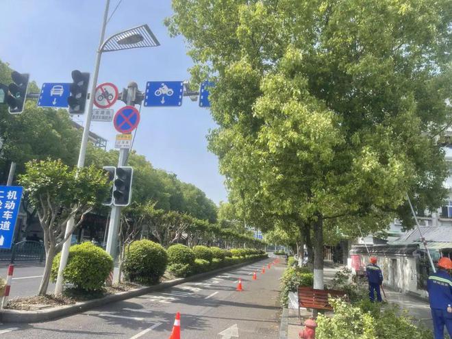 开云 开云体育官网丽水市区主城区行道树修剪计划发布 打造整洁有序的街道景观(图3)