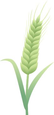 开云体育 开云平台比奥森都大朝阳新增两座大公园！这里的公交专线今日起开通！(图6)