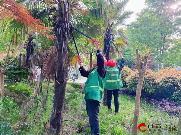 西平县园林绿化中心全面开展春季绿化建设养护工作开云体育 Kaiyun.com 官网入口(图1) 西平县园林绿化中心全面开展春季绿化建设养护工作开云体育 Kaiyun.com 官网入口(图1)