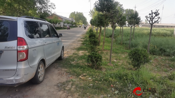 开云 开云体育平台西平县柏苑街道加强苗木管护 提升城市绿化品质(图1)