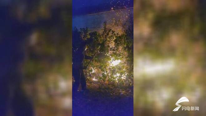 开云 开云体育官网新时代美德山东｜路边绿化苗木突然起火 聊城小学教师变身“灭火侠”(图1)